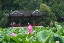 Heavenly Hangzhou Day Tour